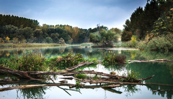 Les responsabilités juridiques des entreprises dans le cadre de la protection de l'environnement